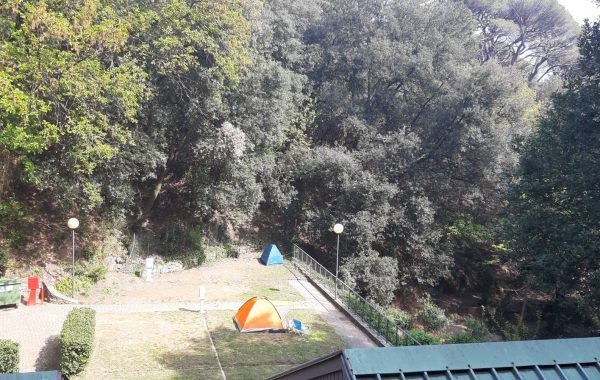 Tende