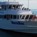 Navebus